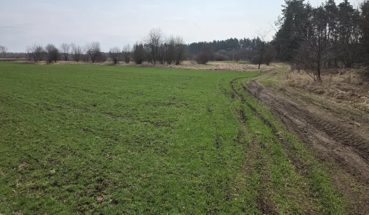 Działka rolna Wolica, Wolica