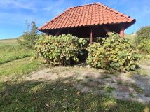dom wolnostojący, 4 pokoje Sienna Berdychów, Sienna. Zdjęcie 4