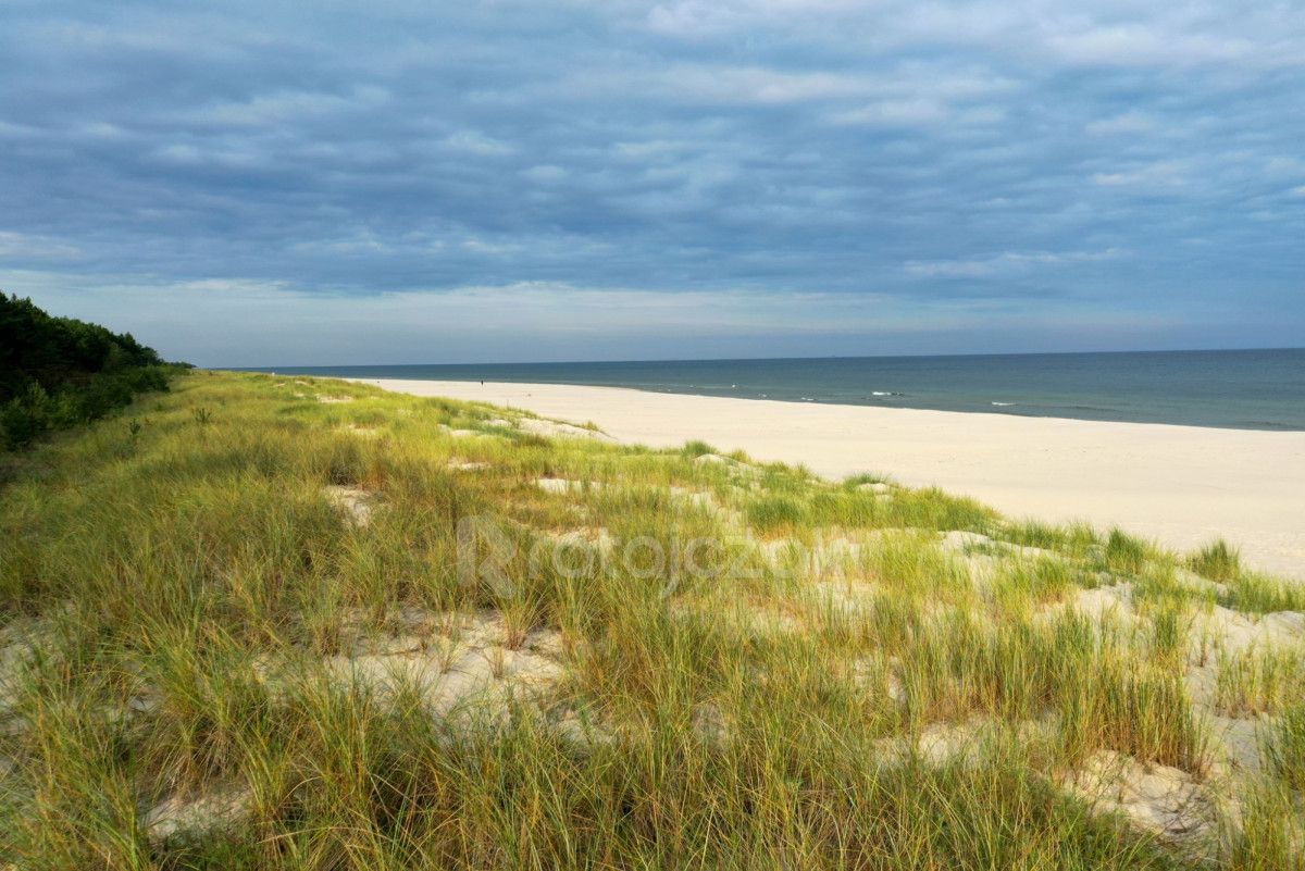Działka inwestycyjna Parszczyce, ul. Łąkowa. Zdjęcie 14