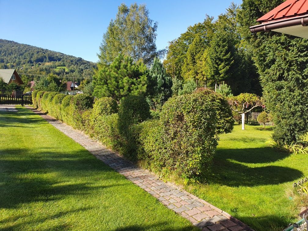 dom wolnostojący Koszarawa. Zdjęcie 3