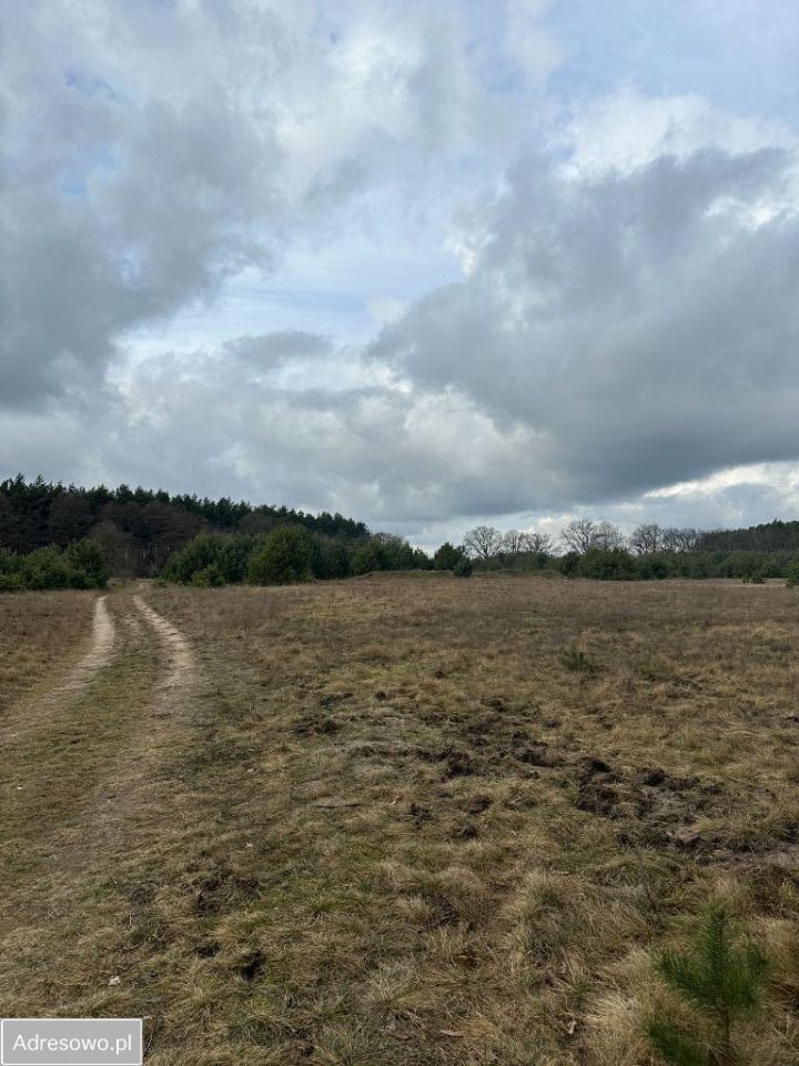 Działka rolna Baranówko. Zdjęcie 3