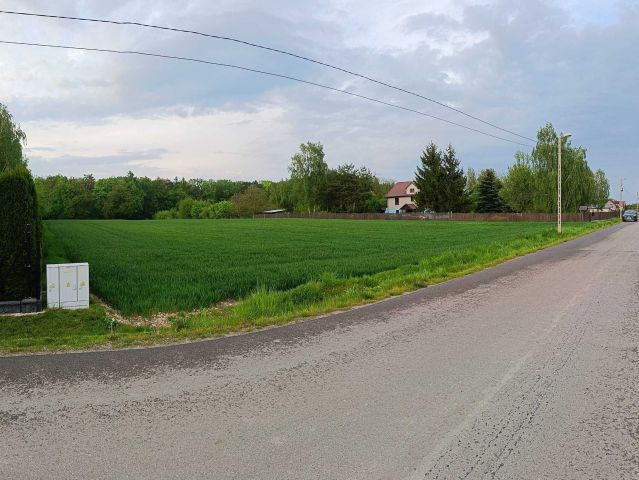Działka rolno-budowlana Piotrowice. Zdjęcie 1