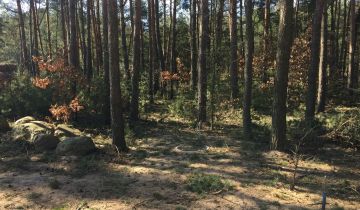 Działka budowlana Zabłocie
