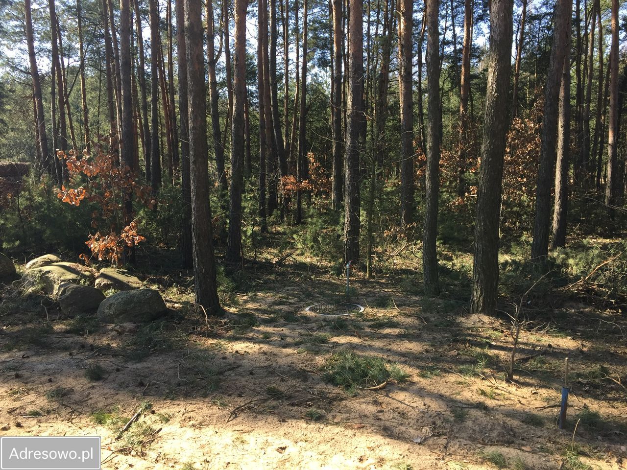 Działka budowlana Zabłocie