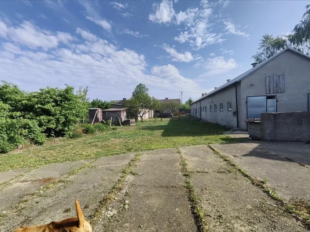 Działka siedliskowa Pokrytki. Zdjęcie 5