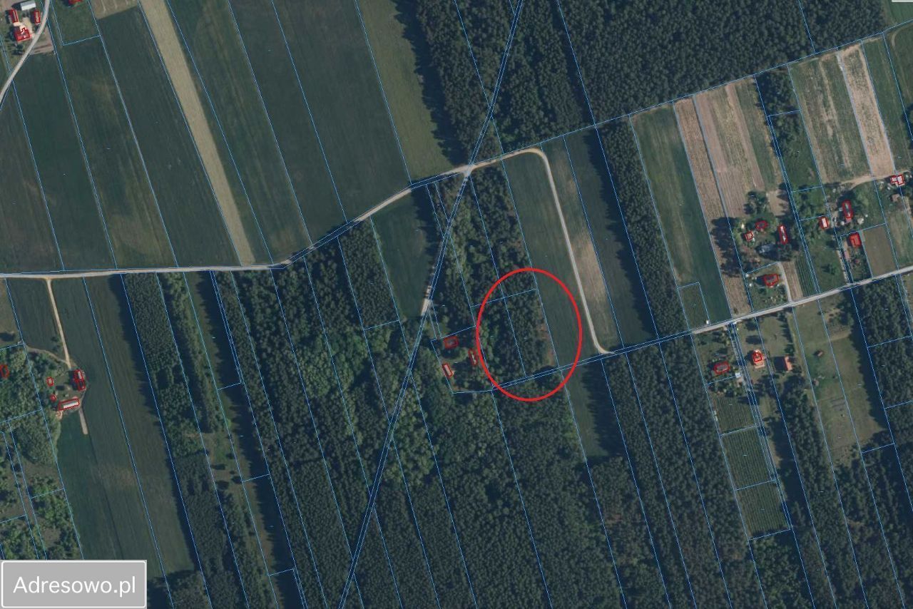 Działka Ludwikowo. Zdjęcie 2