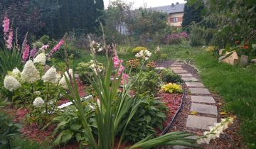 Działka rod Grodzisk Mazowiecki, ul. Akacjowa