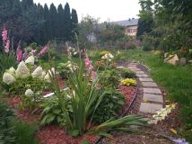 Działka rod Grodzisk Mazowiecki, ul. Akacjowa. Zdjęcie 1