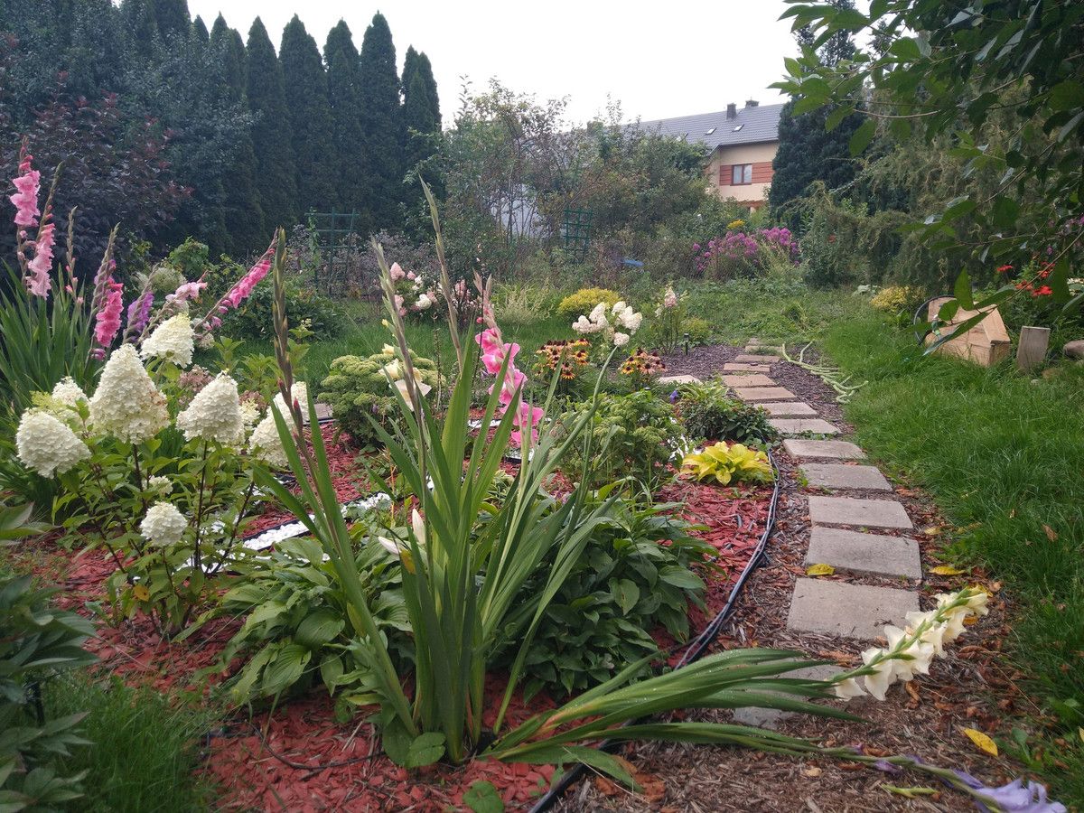 Działka rod Grodzisk Mazowiecki, ul. Akacjowa. Zdjęcie 2