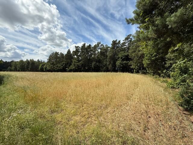 Działka budowlana Zielkowo. Zdjęcie 8