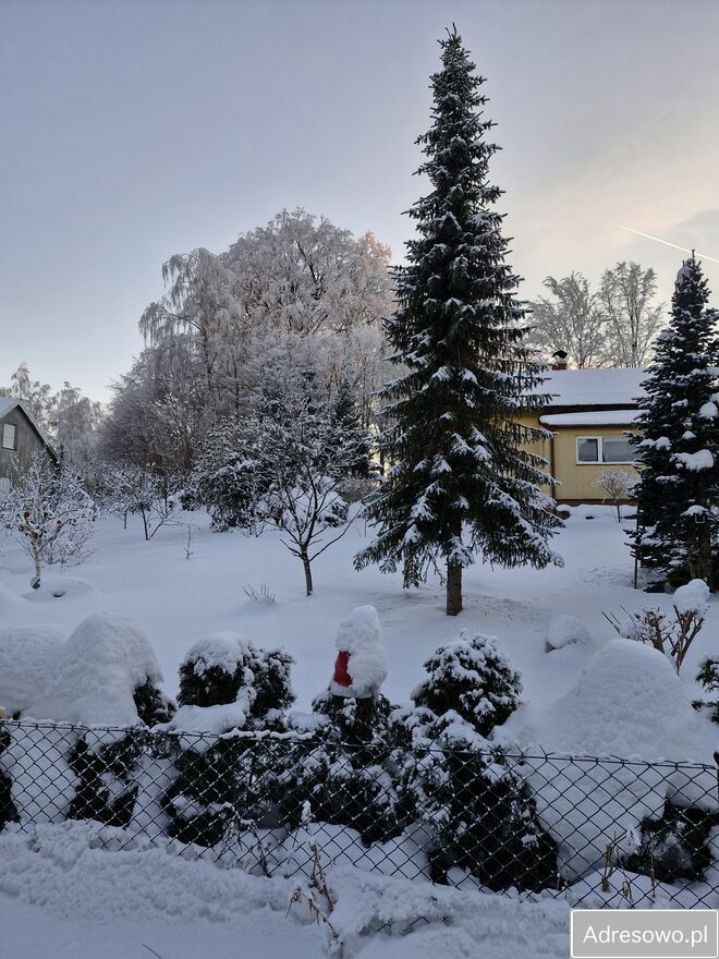 Działka rod Olszanka, ul. Porzeczkowa. Zdjęcie 4