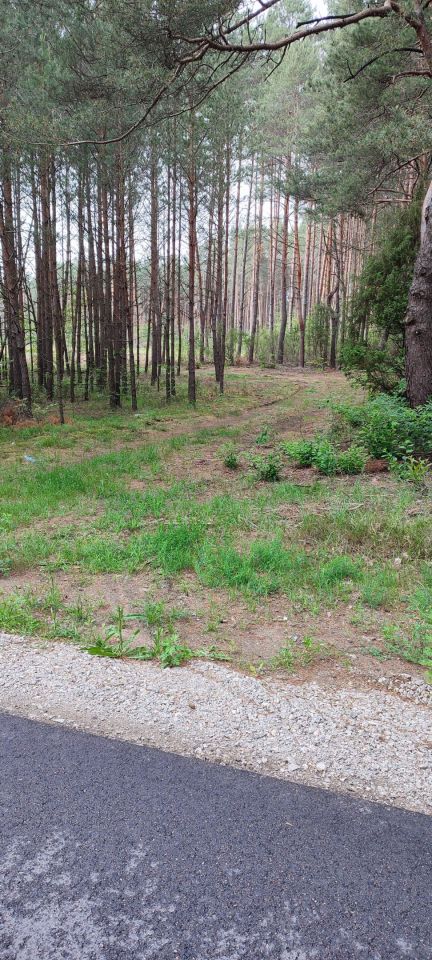 Działka leśna Daniłówka Druga. Zdjęcie 4