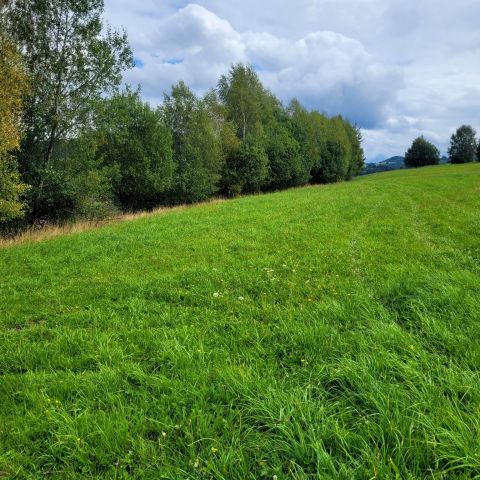 Działka rolno-budowlana Istebna. Zdjęcie 1