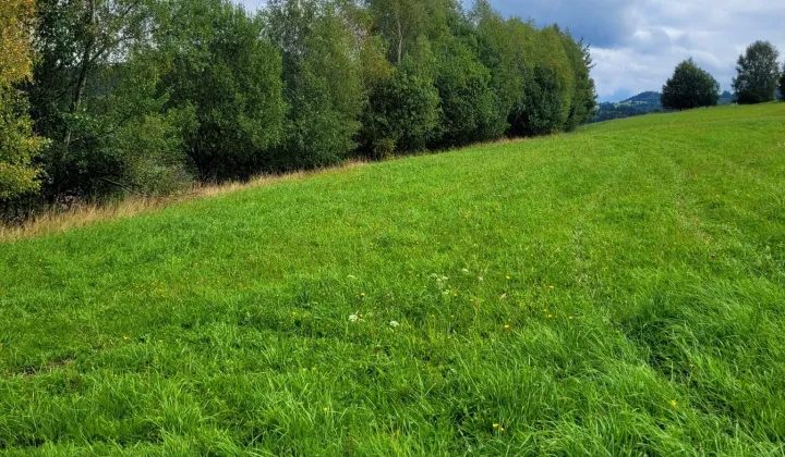 Działka rolno-budowlana Istebna