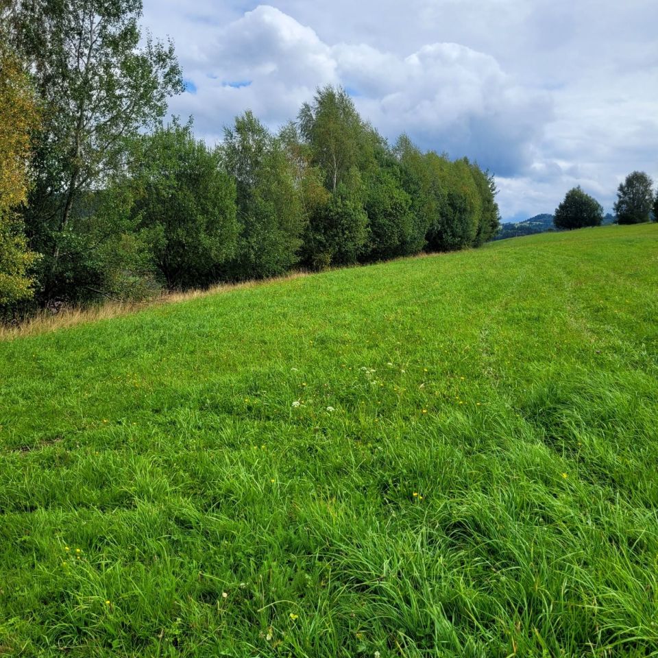 Działka rolno-budowlana Istebna. Zdjęcie 1