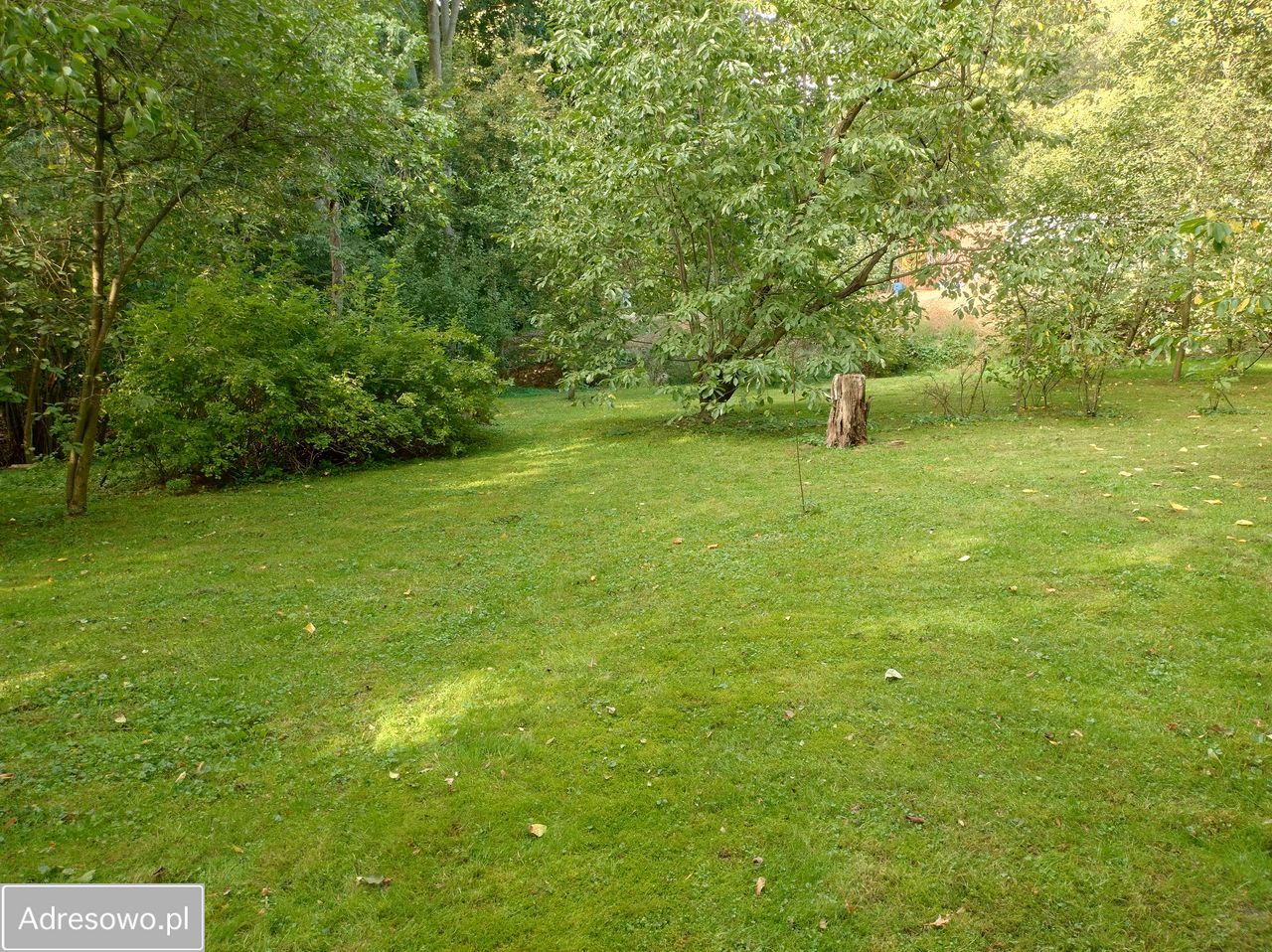 dom wolnostojący, 6 pokoi Lasowice. Zdjęcie 16