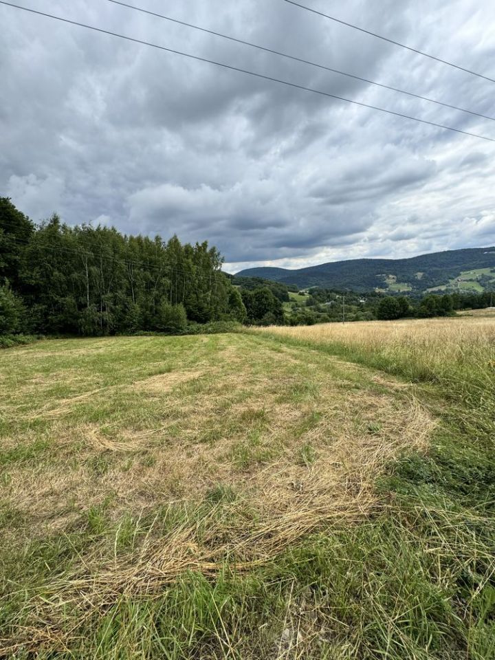 Działka rolna Szymbark Szklarka. Zdjęcie 7