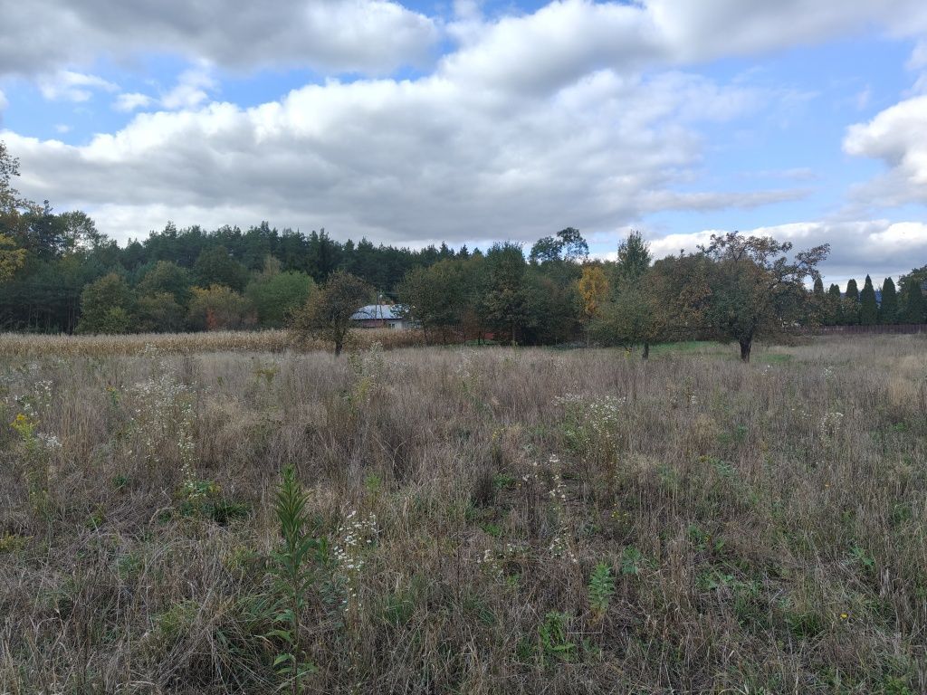 Działka budowlana Babicha. Zdjęcie 3