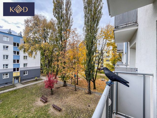 Mieszkanie 2-pokojowe Poznań Grunwald, ul. Raszyńska. Zdjęcie 14