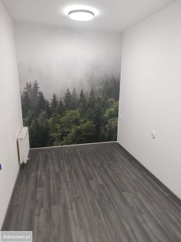 Lokal Gdańsk Zaspa, ul. Janusza Meissnera. Zdjęcie 1