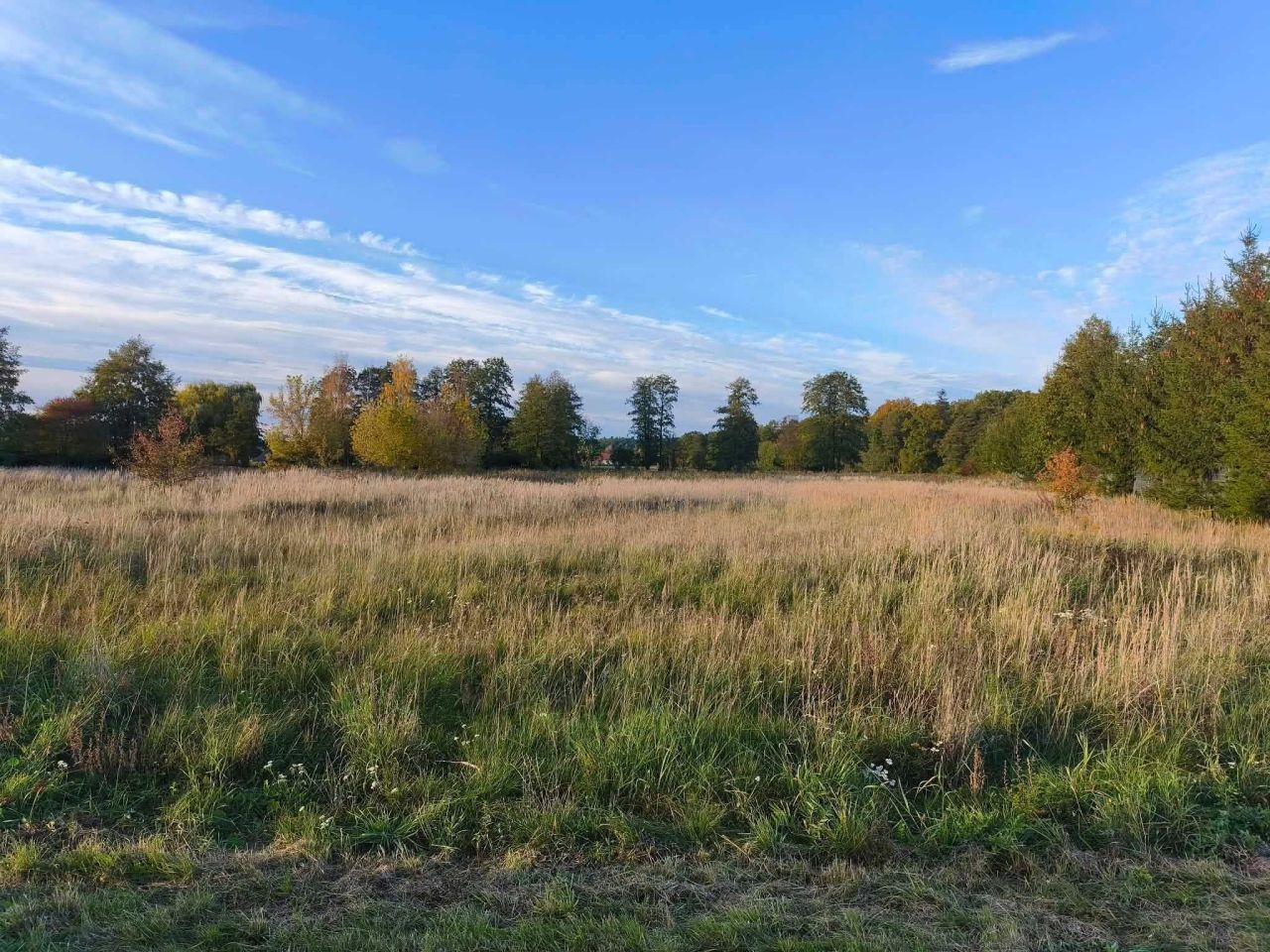 Działka budowlana Michałów, ul. Sezamkowa. Zdjęcie 3