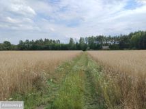 Działka rekreacyjna Gutarzewo. Zdjęcie 1