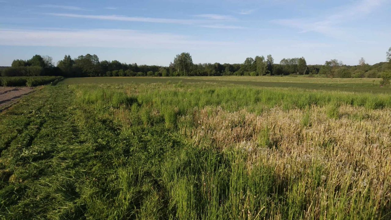 Działka rolno-budowlana Stary Bubel. Zdjęcie 6