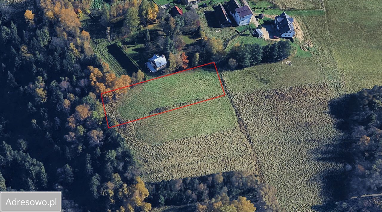 Działka budowlana Wysoka. Zdjęcie 3