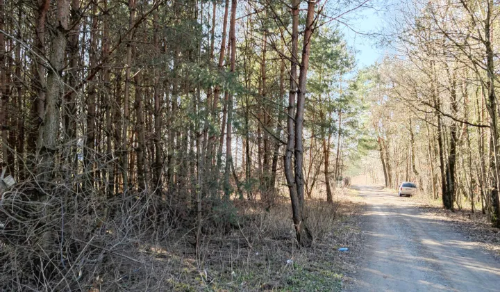 Działka budowlana Nowe Chrusty