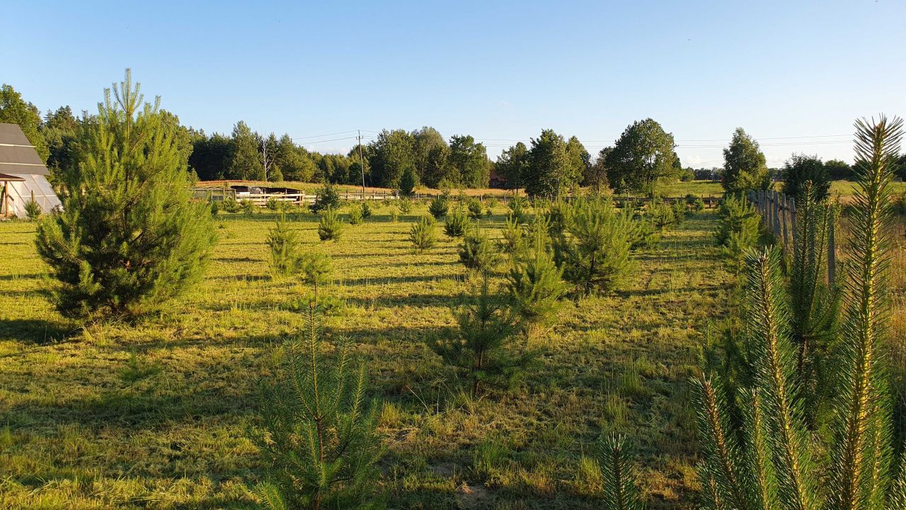 Działka budowlana Ostrowin. Zdjęcie 3