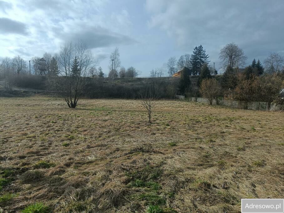 Działka rolna Stawki. Zdjęcie 7