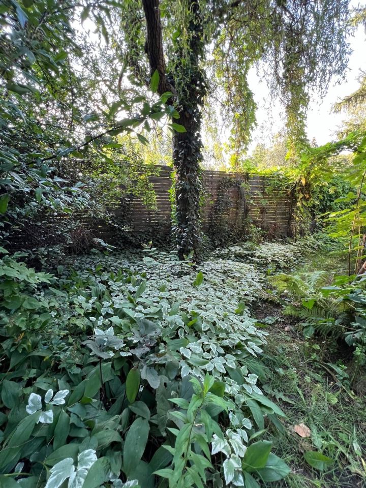 Działka rod Warszawa Mokotów, ul. Racławicka. Zdjęcie 6