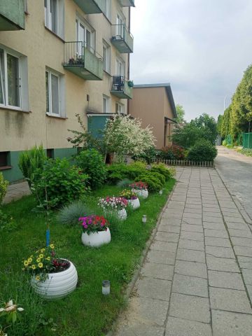 Mieszkanie 3-pokojowe Wronów, ul. Warszawska. Zdjęcie 1