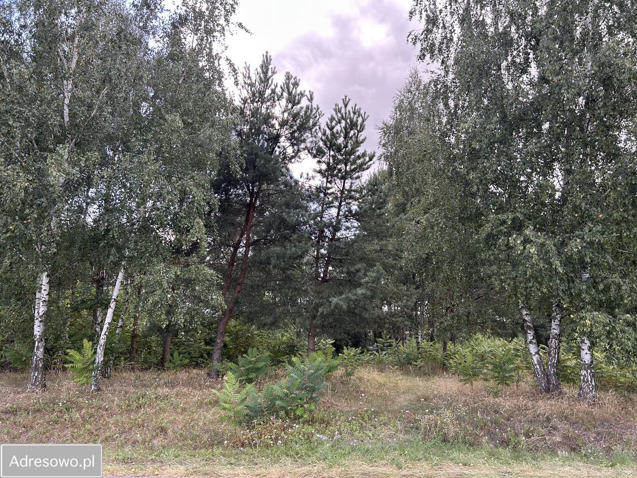 Działka budowlana Stare Koziminy. Zdjęcie 8