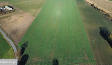 Działka rolna Trzebień