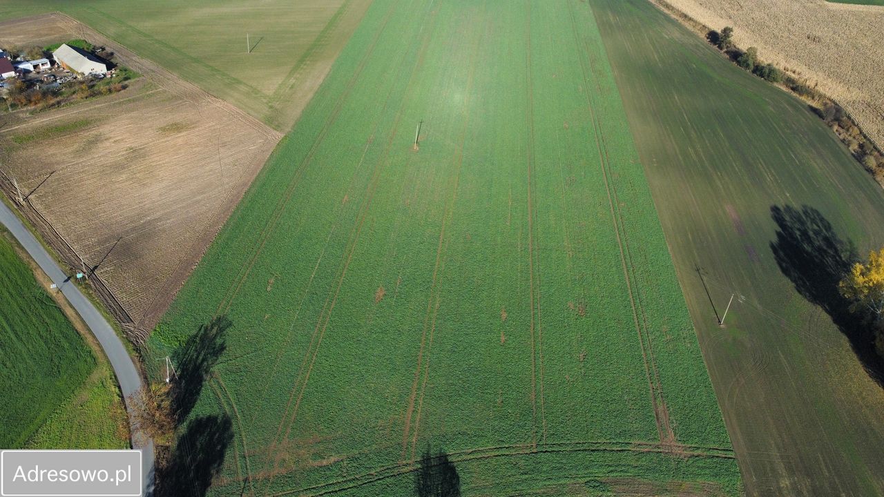 Działka rolna Trzebień. Zdjęcie 2