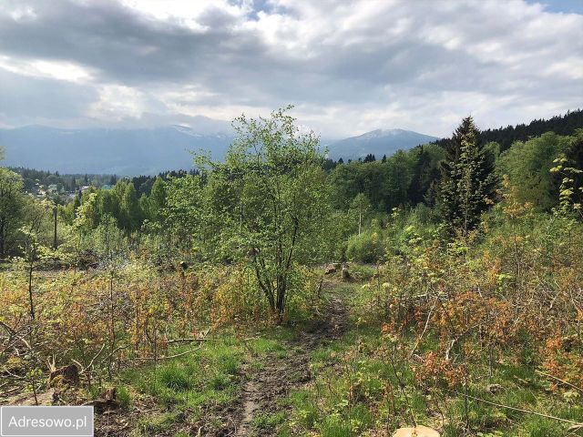 Działka inwestycyjna Szklarska Poręba Szklarska Poręba Górna, ul. Dolna. Zdjęcie 1