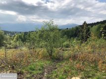 Działka inwestycyjna Szklarska Poręba Szklarska Poręba Górna, ul. Dolna