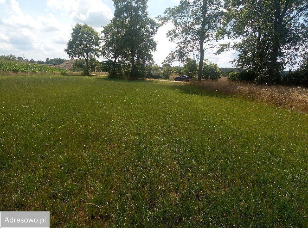 Działka rolna Stara Trzcianka. Zdjęcie 7