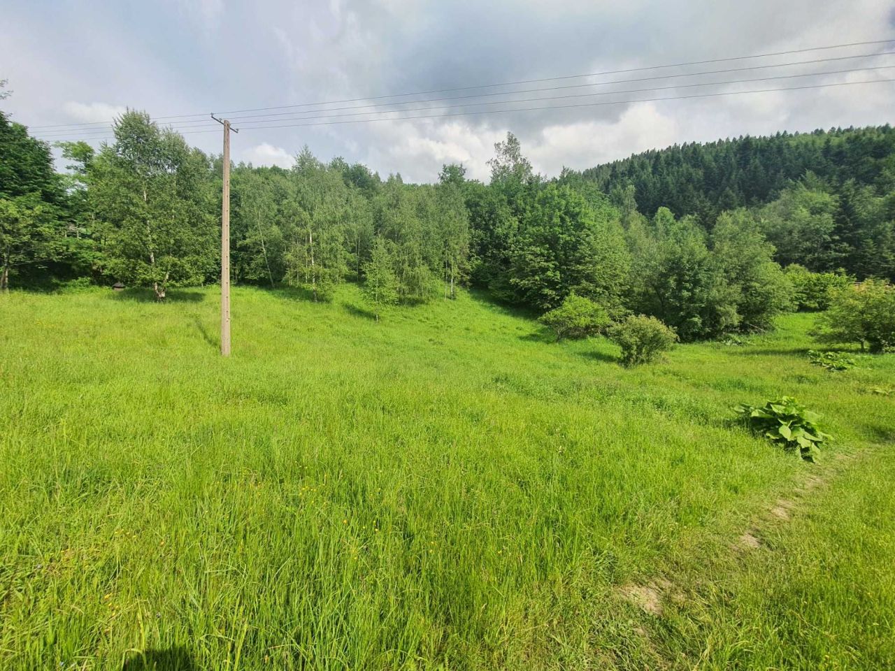 Działka rolno-budowlana Zawoja Mosorne. Zdjęcie 5