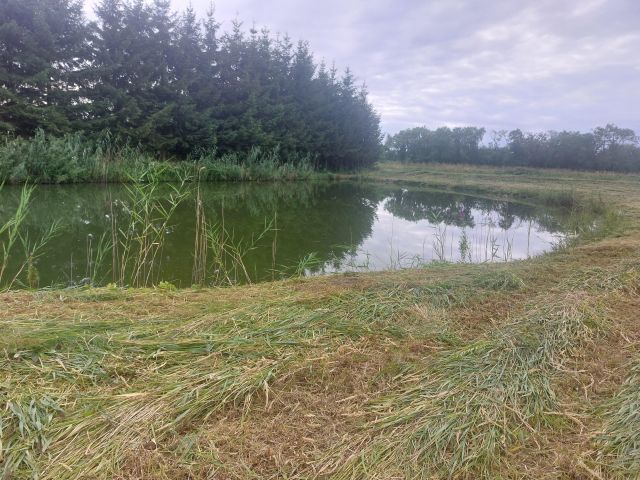 Działka budowlana Suchacz, ul. Portowa. Zdjęcie 6