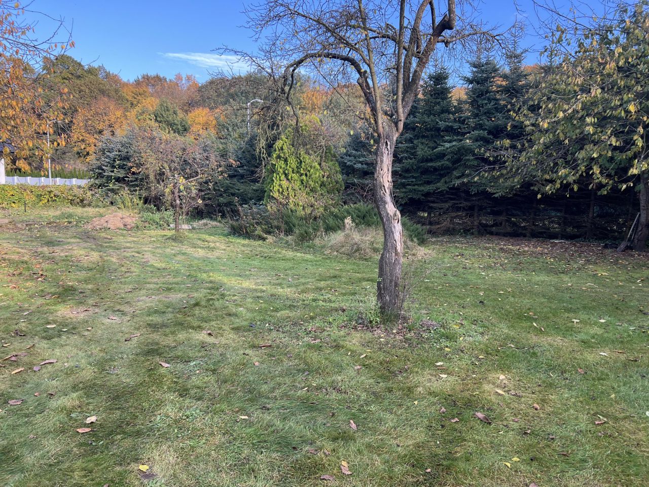 Działka budowlana Płoty, ul. Parkowa. Zdjęcie 3