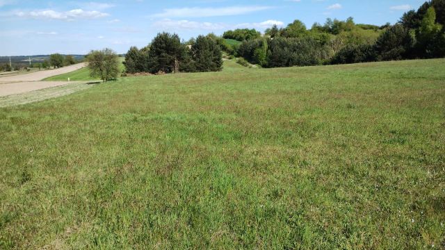 Działka inwestycyjna Wywłoczka. Zdjęcie 1