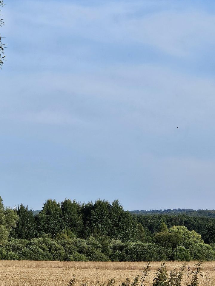 Działka rolna Koszalin Jamno, ul. Orlików. Zdjęcie 3