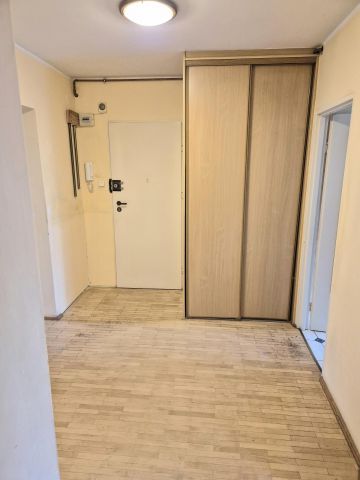 Mieszkanie 3-pokojowe Poznań Centrum, ul. Krakowska. Zdjęcie 19