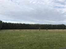 Działka rolna Możdżanów. Zdjęcie 4