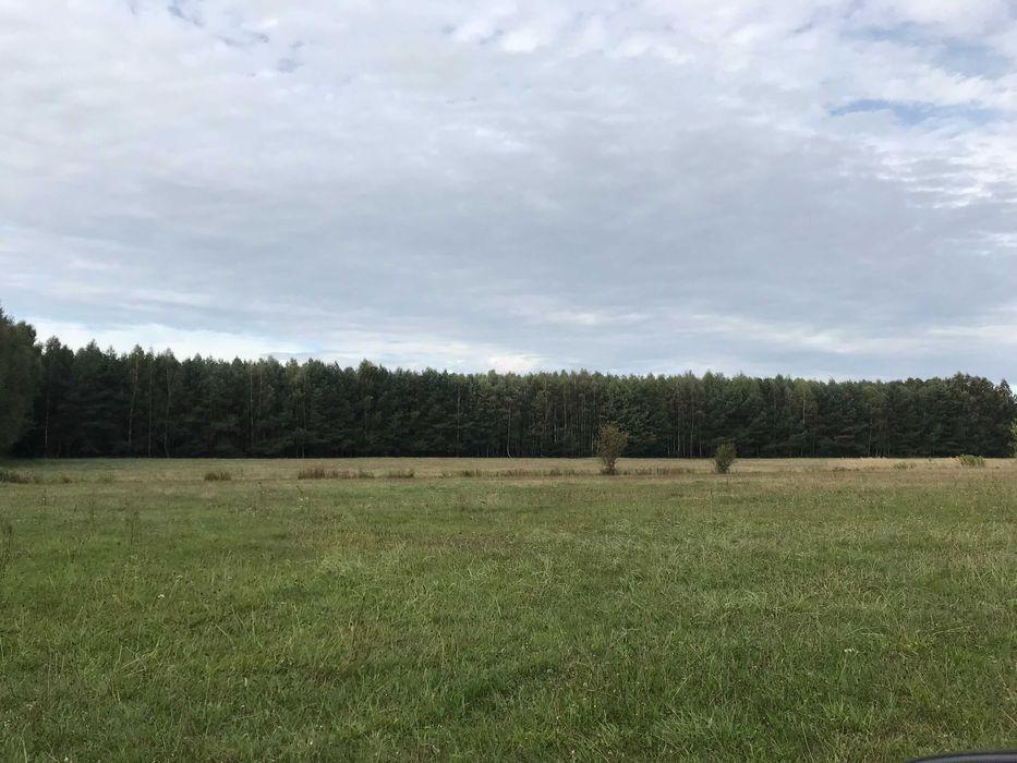 Działka rolna Możdżanów. Zdjęcie 5