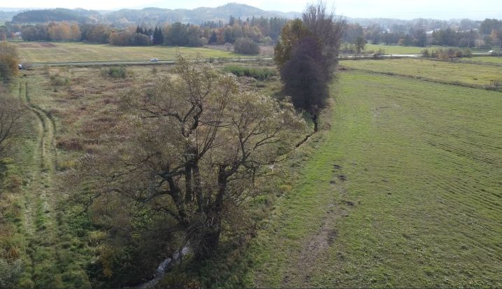 Działka inwestycyjna Jelenia Góra Cieplice Śląskie-Zdrój, ul. Spółdzielcza. Zdjęcie 5