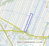 Działka rolna Nowe Ręczaje, bez nazwy. Zdjęcie 1