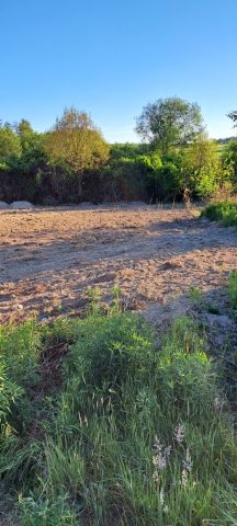 Działka budowlana Ciechów Buczki, ul. Dębowa. Zdjęcie 1